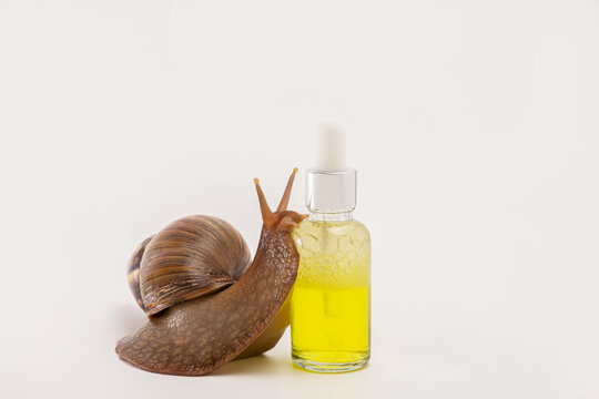 Snail Mucin Magic